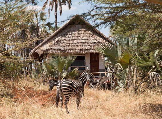 Lodges In Tanzania