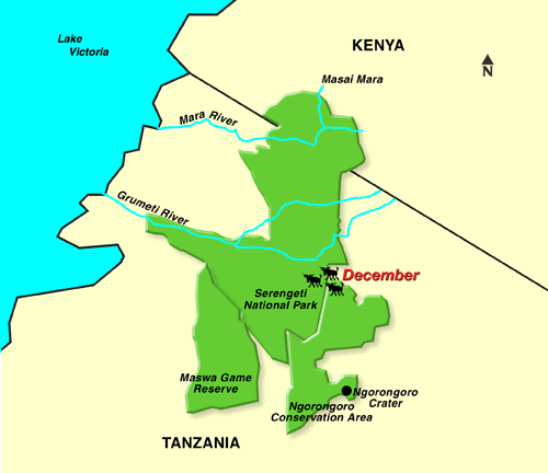 Tanzania & Kenya Wildebeest Migration Map & Calender