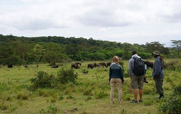 One Day Excursion To Arusha National Park