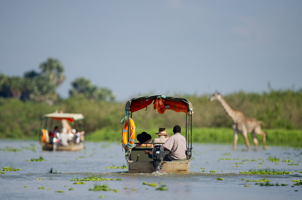 Embark on a boat-safari in the late afternoon