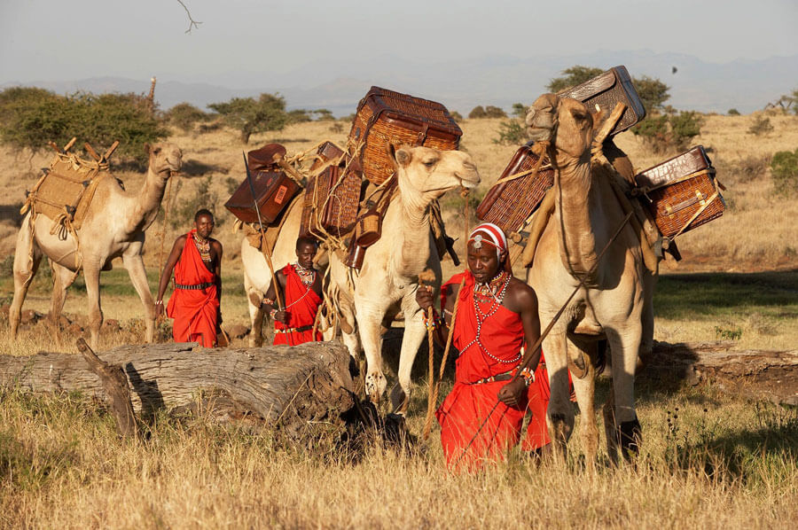 Camel Riding Safari with Maasai in Tanzania