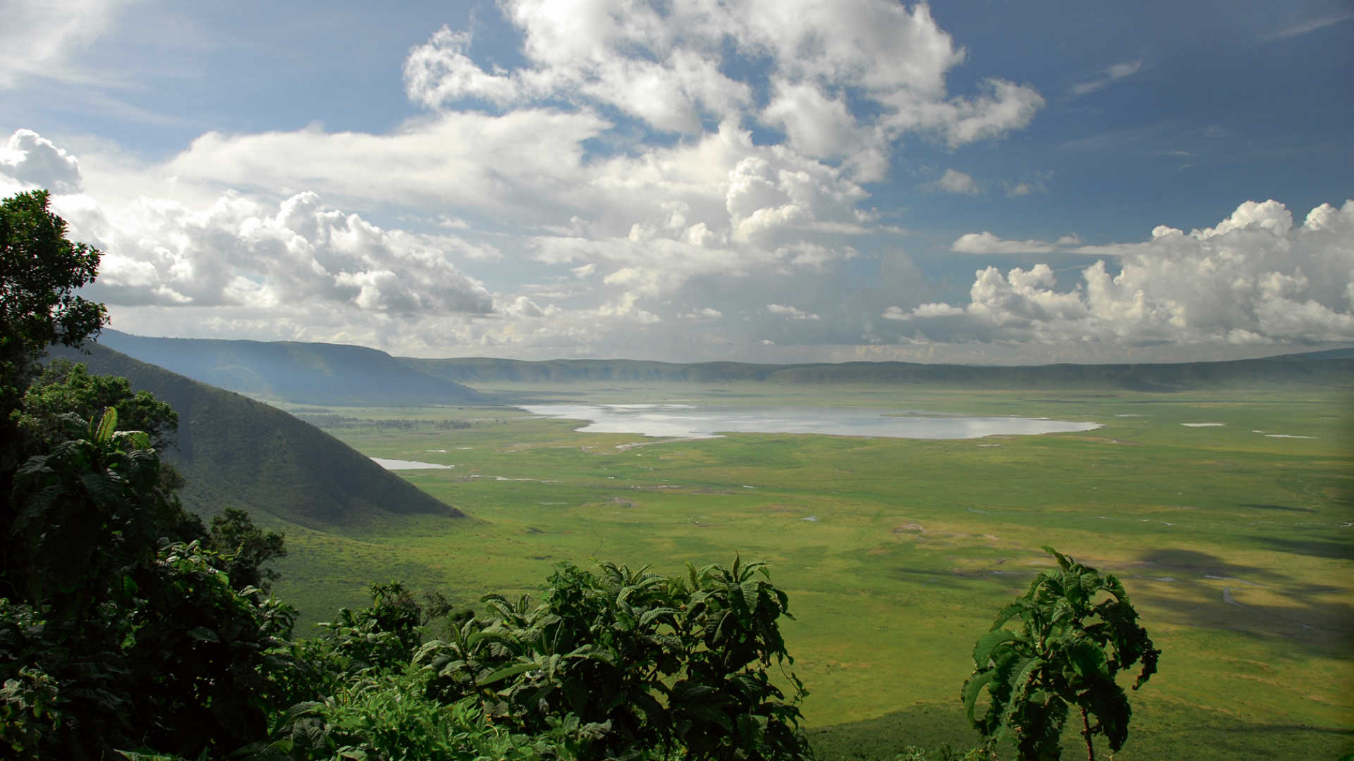 Ngorongoro Crater Day One